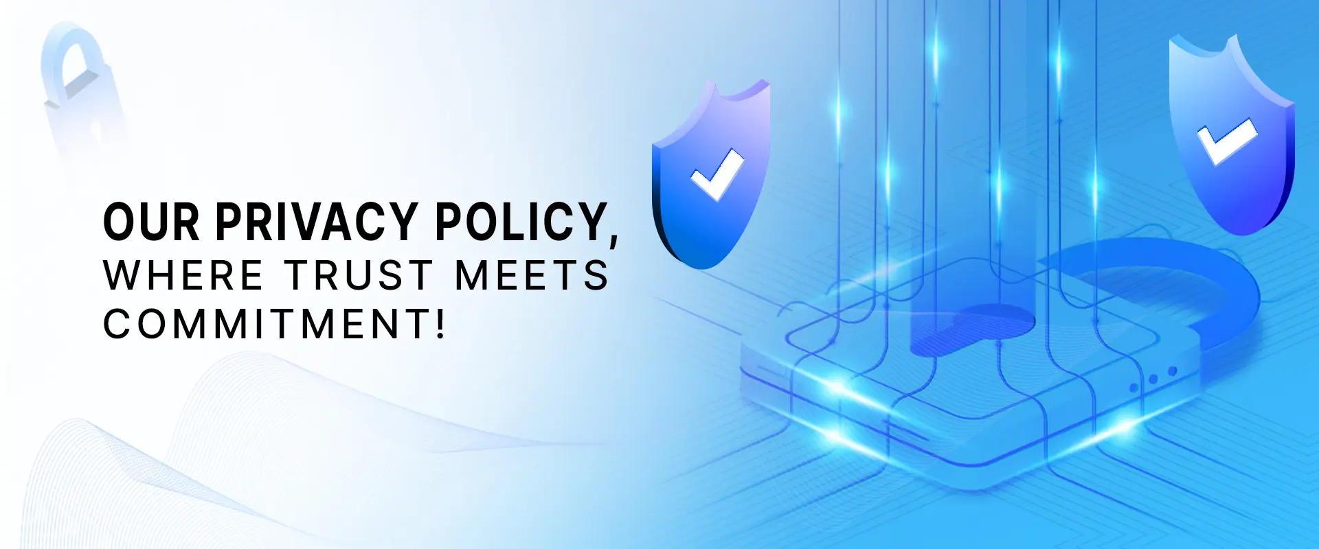 Privacy Policy banner